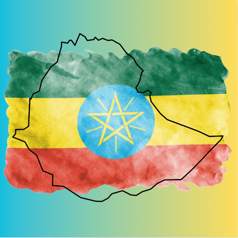 Donation- Justice Journey Ethiopia Fundraiser