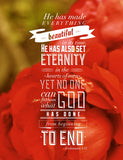 Scripture Cross