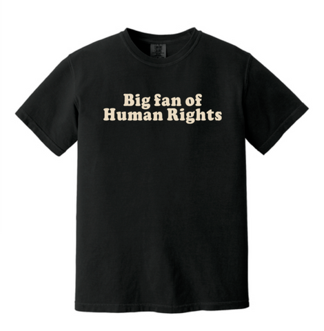 Big Fan of Human Rights T-shirt